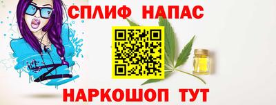 гашик Нарткала